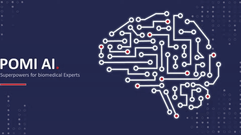 Highlights animation